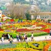 Du lịch Hàn Quốc le hoi hoa hong everland