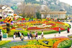 Du lịch Hàn Quốc le hoi hoa hong everland